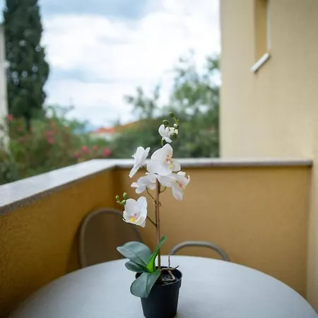Διαμέρισμα Apartments Vesna *